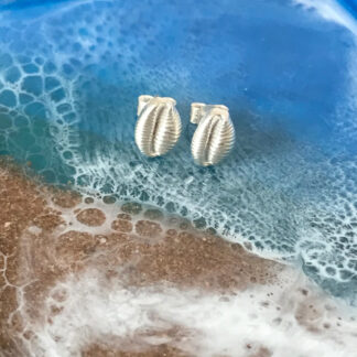 Fine Silver Cowrie Shell Studs