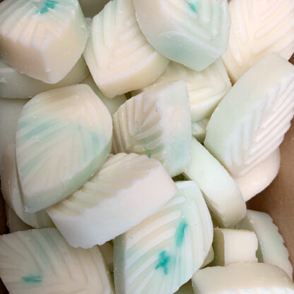 Peppermint & Eucalyptus Soy Wax Melts - Box of 10 x 20g each (approx 200g total)