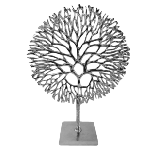 Silver Coral Tree New