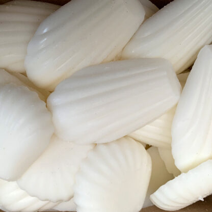 White Sage & Sea Salt Soy Wax Melts - Box of 10 x 20g each (approx 200g total)