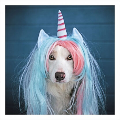 Unicorn dog greetings card