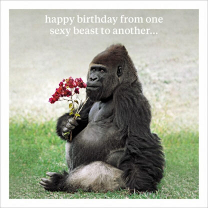 Happy birthday from one sexy beast greetings card